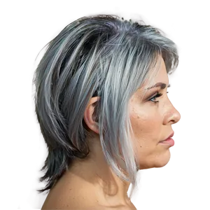 Grey Hair A PNG Image