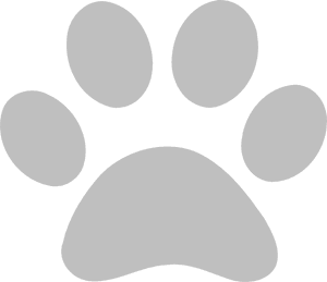 Grey Pawprint Svg Clip Arts - Grey Dog Paw Print, HD Png Download PNG image with transparent background