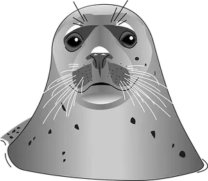 Grey Seal Vector Illustration PNG Image