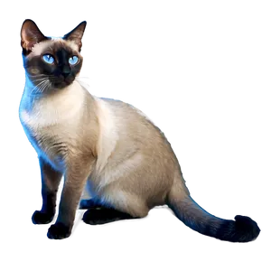 Grey Siamese Cat Png 06252024 PNG Image