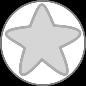 Grey Star Icon Circle Background PNG with transparent background