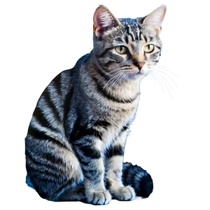 Grey Striped Cat Png Iie PNG Image