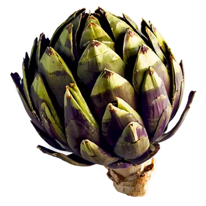 Grilled Artichoke Png Lsr50 PNG Image