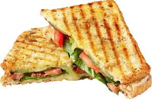 Grilled Cheese Vegetable Sandwich.png PNG Image