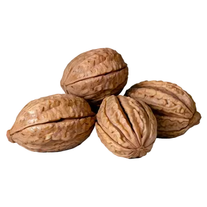 Ground Walnut Png Idy PNG Image