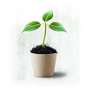 Growth Sprout Png Jfx6 PNG Image