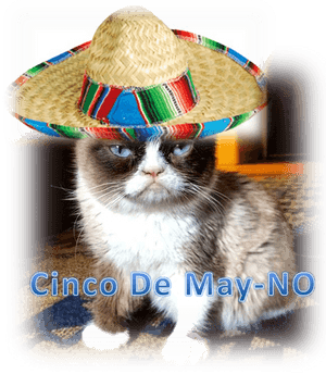 Grumpy Cat Mean Memes, HD Png Download PNG image with transparent background