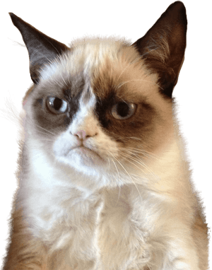 Grumpy Cat Upset - Let Me Think About It Meme, HD Png Download PNG image with transparent background