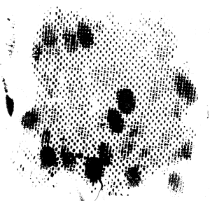 Grunge Dot Splatter Texture PNG image with transparent background