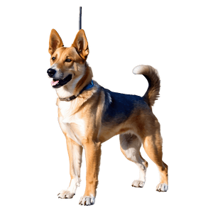 Guard Dog Clipart PNG qku33 PNG