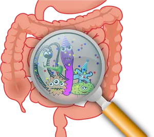 Gut Bacteria Cartoon Magnified PNG Image