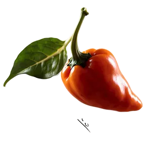 Habanero Chili Pepper Picture Png Pss56 PNG Image