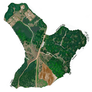 Habitat Destruction from Deforestation PNG 06212024 PNG