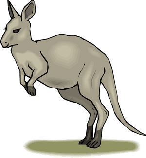 Habitat Map Kangaroo Library Png Images Clipart - Eastern Grey Kangaroo Clipart, Transparent Png PNG image with transparent background
