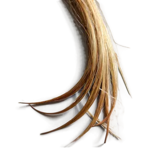 Hair Strand B PNG Image