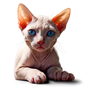 Hairless Cat In Sunlight Png Pds PNG Image