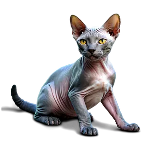 Hairless Cat Pet Png Pxw72 PNG Image