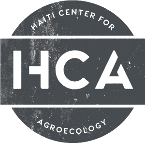 Hca For Center, HD Png Download PNG