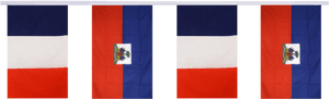 Haiti Friendship Bunting Flags - Haiti Flag, HD Png Download PNG
