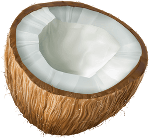 Coconut Clipart Transparent Background, HD Png Download PNG image with transparent background