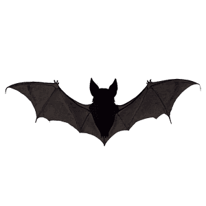Halloween Bat Silhouette PNG dtg97 PNG image with transparent background