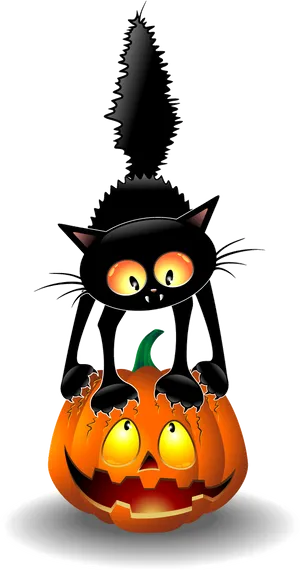 Halloween Black Catand Jack O Lantern PNG Image