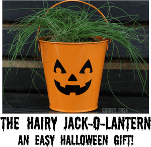 Halloween Plant Pot Jack O Lantern PNG image with transparent background
