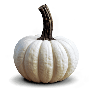 Halloween White Pumpkin PNG arb PNG