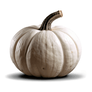 Halloween White Pumpkin PNG snw PNG