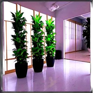 Hallway Plant Decor Png Wdj PNG Image