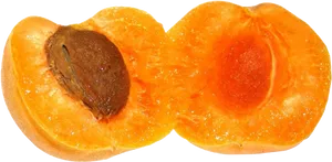 Halved Apricotwith Seed PNG Image