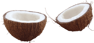 Download Coconut Png Hd - Half Coconut Png, Transparent Png PNG with transparent background