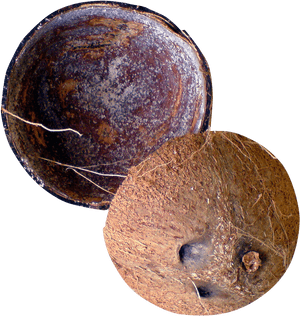 Coconut Shell Png Transparent Image - Coconut Shell Png, Png Download PNG with transparent background