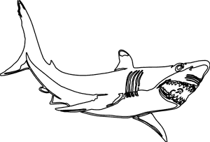 Clipart Shark Black And White - Great White Shark Clipart Black And White PNG image with transparent background