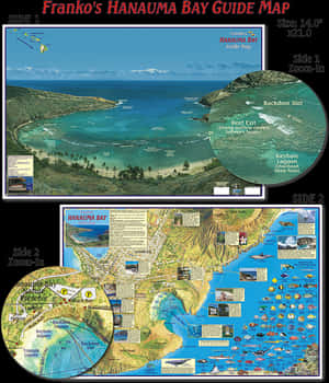 Waterproof Folded Map Or Laminated Poster - Hanauma Bay Snorkeling Map, HD Png Download PNG image with transparent background