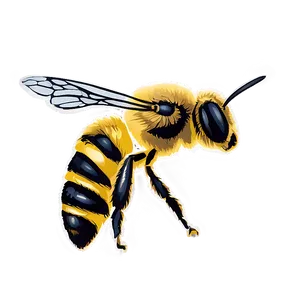 Hand-drawn Bee Png 06252024 PNG Image