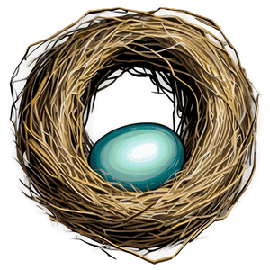Hand Drawn Bird Nest PNG 06212024 PNG