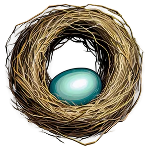 Hand Drawn Bird Nest Png 06212024 PNG Image