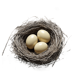 Hand Drawn Bird Nest PNG fgs3 PNG