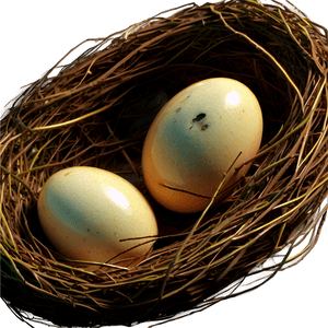 Hand Drawn Bird Nest PNG isd PNG