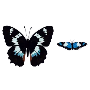 Hand Drawn Black Butterfly Png Psw PNG Image