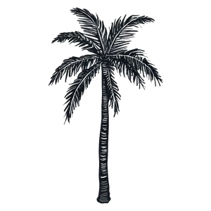 Hand Drawn Black Palm Tree Png Ofo PNG Image