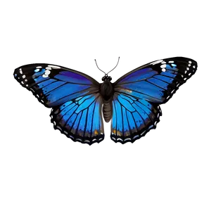 Hand Drawn Blue Butterflies Png Pbj PNG Image