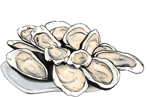 Clam - Oyster Png, Transparent Png PNG with transparent background