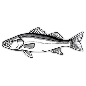 Hand-drawn Cod Fish Png 9 PNG Image