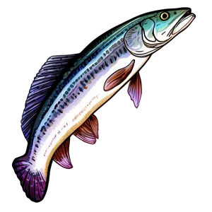 Hand-drawn Cod Fish Png Ksu14 PNG Image