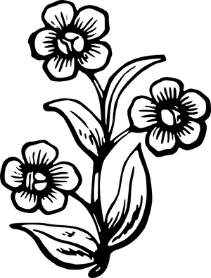 Plant Drawing At Getdrawings - Easy Big Flower Drawing, HD Png Download PNG image with transparent background