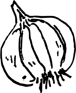 Garlic , Png Download - Garlic Doodle Png, Transparent Png PNG image with transparent background
