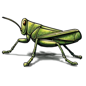 Hand Drawn Grasshopper Png 06122024 PNG Image