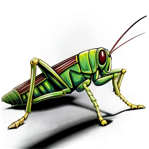 Hand Drawn Grasshopper Png 55 PNG Image